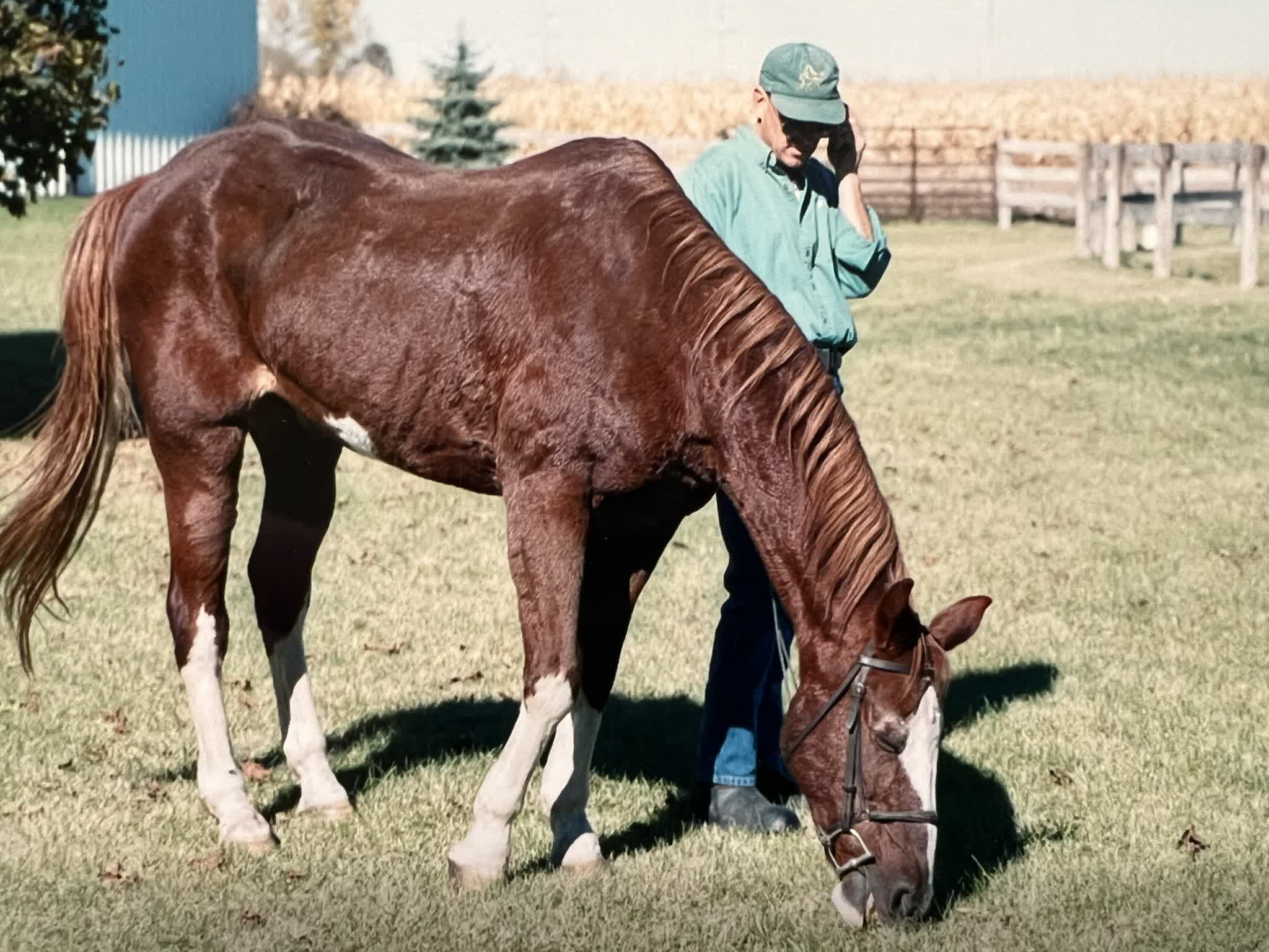 Doctor Dave and his horse, Strokes